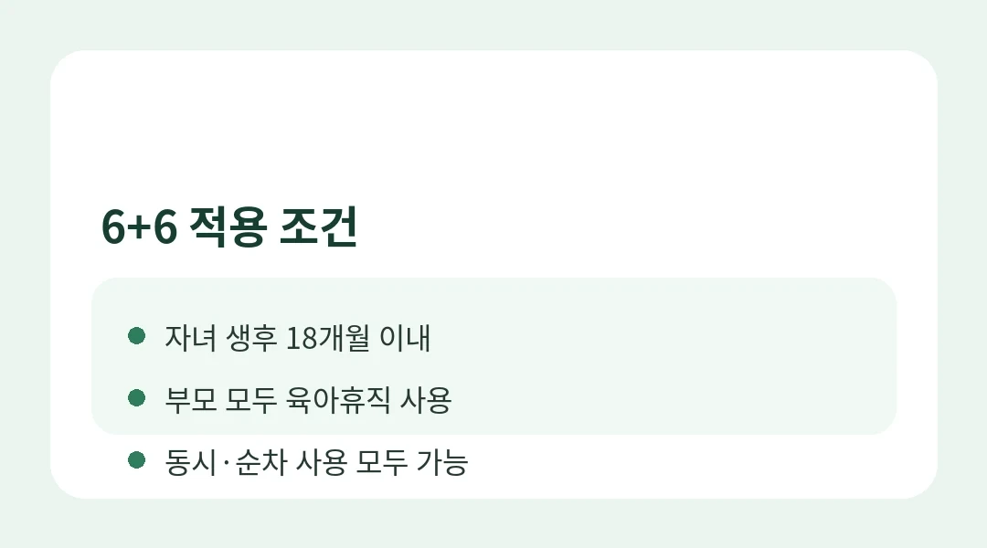 6+6 적용 조건은 무엇인가요? 정보카드