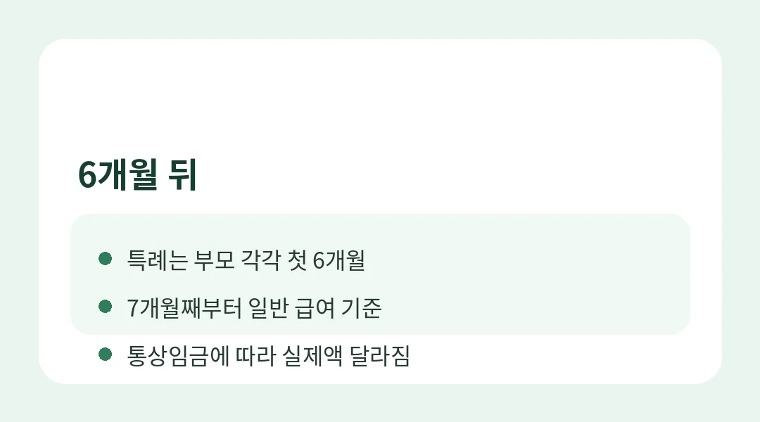 부모가 6개월을 모두 써야 하나요? 정보카드