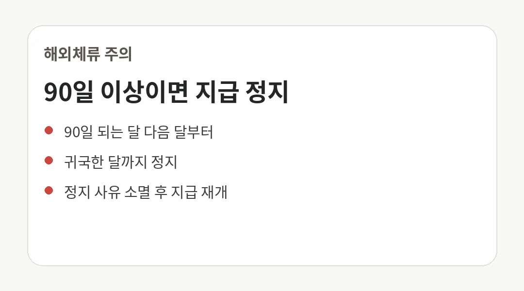 핵심 정보 카드