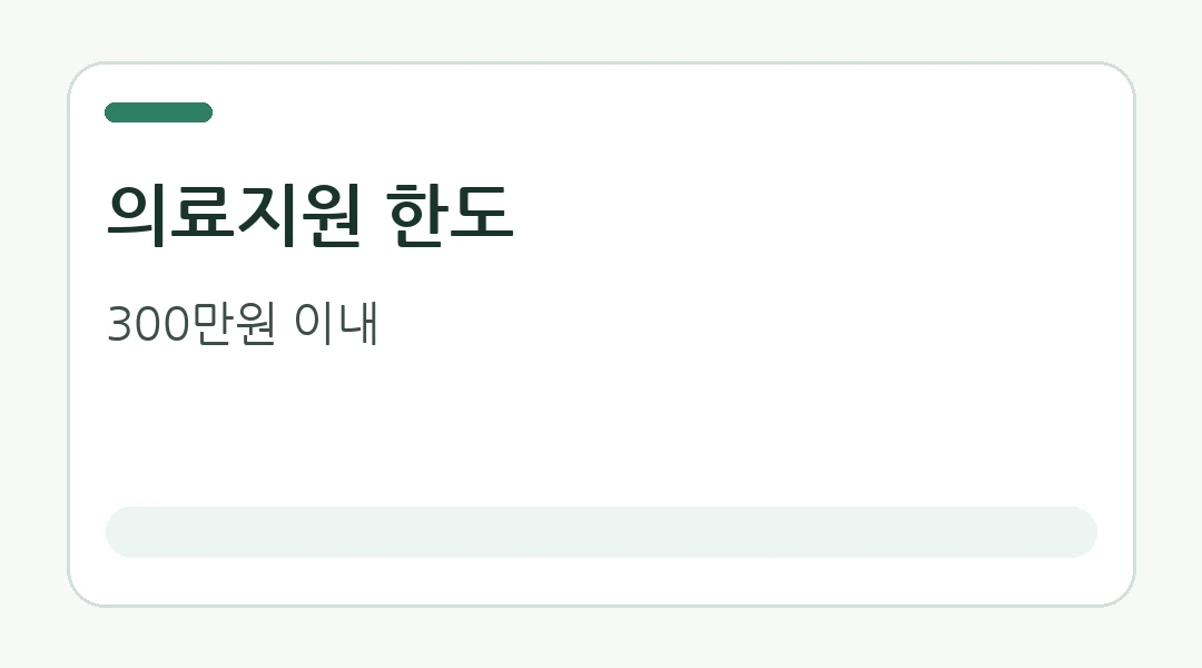 긴급복지 의료지원 300만원 한도